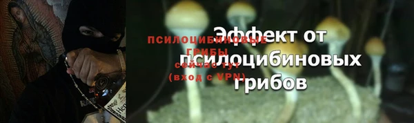 дживик Аркадак